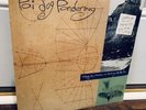 RARE  Sealed - Poi Dog Pondering - Wishing Like A Mountain … LP (1990) 1st Press
