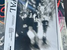 Opal - Happy Nightmare Baby Vinyl LP RARE promo with PRESS RELEASE, PHOTO & SST