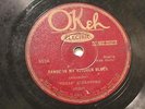 BLUES TEXAS ALEXANDER Range In My Kitchen Blues OKEH 8526