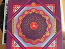 Grateful Dead Cornell & Capitol Theatre SPRING 1977 east coast double box set