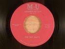 The Shy Guys  Goodbye To You/Black Lightening Light RARE  Florida Garage Psych