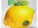 Fools Garden - Lemon Tree - Vinile (rsd 2024 -  limited edition)