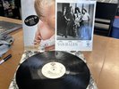 VAN HALEN - 1984 LP   1983 Warner Bros 1-23985   QUIEX II PROMO W/ Press Photo