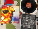 Leatherface Dog Disco 2004 BYO 094 Vinyl Lp Punk Hot Water Music Hardcore NM/VG+