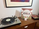 Willie Colon & Ruben Blades Siembra Reissue LP Vinyl Fania Records JM00537 SALSA