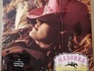 MADONNA MUSIC 2 x Vinile 12 /33 Rpm - Us 2000 Maverick 9 44909-0 - NEW SEALED -