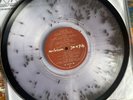 ALICE IN CHAINS RARE ‘JAR OF FLIES’ CLEAR FLY VINYL STORE EXCLUSIVE /150