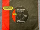 PETER JAY & JAYWALKERS - TONIGHT YOU’RE GONNA rare UK 1964 / MOD / BEAT / EX