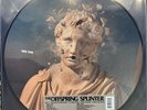 THE OFFSPRING Splinter RSD 2024 Picture Disc NEW SEALED Vinyl LP