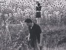 Jesu/Sun Kil Moon Jesu/Sun Kil Moon (Vinyl) 12