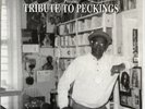 STUDIO ONE PRESENTS TRIBUTE TO PECKINGS VINYL LP EXC PRO CLEANED