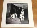 Van Morrison / Days Like This 12