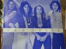 VAN HALEN 88 RARE LP 1979 - SEPTEMBER - RARE AS CHICKEN TEETH NM LP