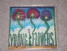YOUNG FLOWERS - Blomsterpistolen ORIGINAL 1. PR 1968 DK PSYCH LP SONET SLPS 1258