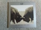 Vinyl 12
