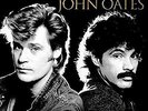 Daryl Hall  John Oa - Timeless Classics - Used Vinyl Record - N1362z