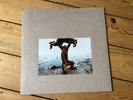 Dude Incredible [Lp] by Shellac (Record, 2014)