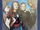 Mudhoney Every Good Boy Deserves Fudge Signed Numbered Picture Disc Sub Pop 1991