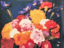 Teardrop Explodes - Wilder - New Vinyl Record - B1256z