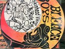 LP (picture-disc) BLEACH BOYS 