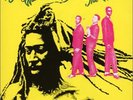Bunny Wailer - Sings The Wailers - Used Vinyl Record - F2508z
