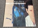 Brian Wilson - Self Titled Vinyl Record BLUE 2013 The Beach Boys