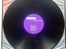 Kid Rock Polyfuze Method Reissue Vinyl  LP Rare