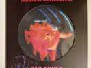 Black Sabbath - Paranoid  12” Picture Disc Vinyl Lp