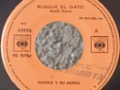HAROLD Y SU BANDA - BUSQUE EL GATO / LATIN FUNK CBS 45 hear