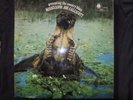 VINYL 33 TOURS MISSISSIPPI JOE CALLICOTT  PRESENTING THE COUNTRY BLUES / 763227