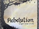 Bright Side of Life by Rebelution (Record, 2011)