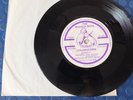 The Bleach Boys Chloroform  You've Got Nothing 1978 Punk 7