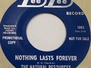 Northern soul/funk 45 THE NATURAL RESOURCES Nothing Lasts Forever /If There's...