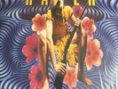 HATER - [self-titled] (Vinyl LP, 2016, Import) **NEW** Soundgarden Matt Cameron