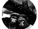 Mobb Deep The Gorilla Deep EP Vinyl Single 12inch NEW OVP Sergent Records