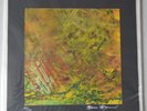 Nurse With Wound - The Great Ecstasy of the Basic Corrupt. 67 of 100. NM / NM.
