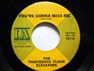 THIRTEENTH FLOOR ELEVATORS 45 Tried To Hide You're Gonna Miss Me VG++  Dh 37