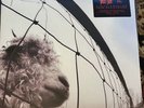Pearl Jam Vs. 30th Anniversary Edition 2XLP Vinyl Record LP Sealed 19658830051S1