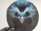 BEATLES LET IT BE X-Ray USSR Record Roentgen Bone Ribs Music Vinyl