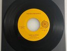 The Beau Brummels / Just A Little /  1965 45rpm / Produced Sly Stone / NM+