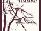 Pharoah Sanders Pharoah (Deluxe Limited Box Set) Records & LPs New