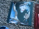 siouxsie and the banshees vinyls