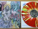 BARONESS - STONE - Signed - Beneath The Rose - Coloured Splatter Vinyl LP /500