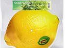 Fools Garden – Lemon Tree- Vinyl, 10