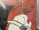 Toad the Wet Sprocket - Dulcinea Vinyl LP 180g New - 2024 I’m A Fan ️