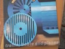 The Frank And Walters - Trains,Boats And Planes LP Setanta UK 1993