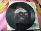 THE SKYLINERS. THIS I SWEAR/TOMORROW 7. ROCK AND ROLL.