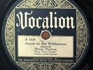 HENRY THOMAS Jonah in the Wilderness VOCALION 1140 PRE WAR COUNTRY BLUES 78 RARE