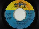 Northern Soul 45 - Ad Libs - Johnny My Boy - Blue Cat