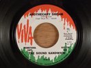 The Sound Sandwich  Apothecary Dream/Zig Zag News  Promo RARE  Psych, Garage